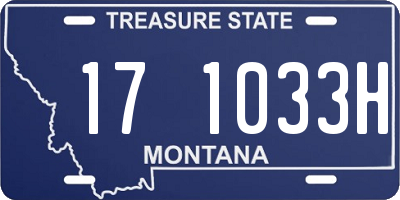 MT license plate 171033H