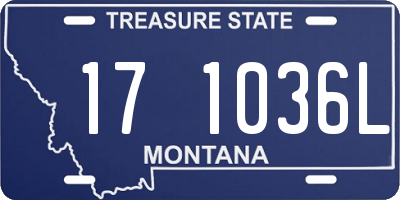 MT license plate 171036L