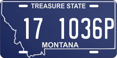 MT license plate 171036P