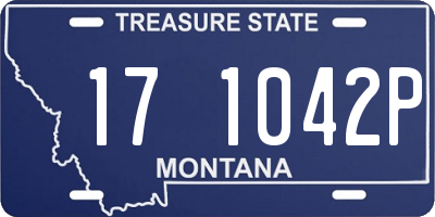 MT license plate 171042P