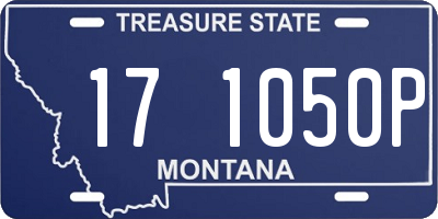 MT license plate 171050P
