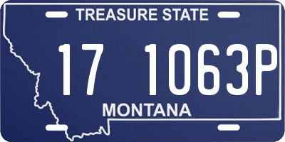 MT license plate 171063P