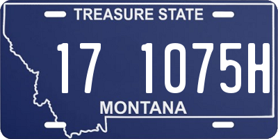 MT license plate 171075H