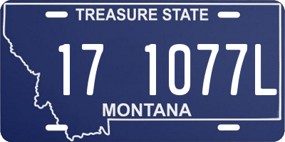 MT license plate 171077L