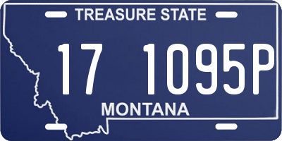 MT license plate 171095P