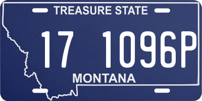 MT license plate 171096P