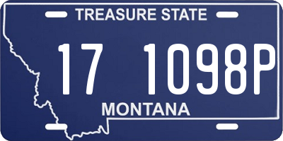 MT license plate 171098P