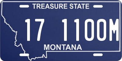 MT license plate 171100M