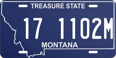 MT license plate 171102M