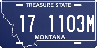 MT license plate 171103M