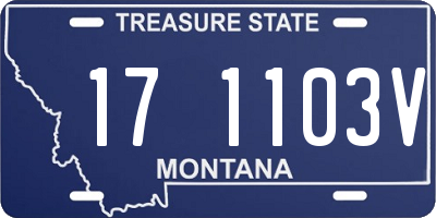 MT license plate 171103V