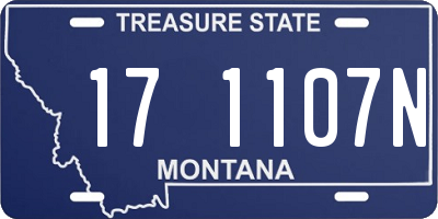 MT license plate 171107N