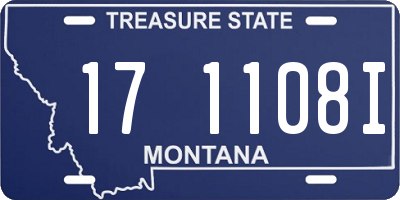MT license plate 171108I