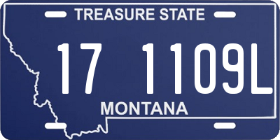 MT license plate 171109L