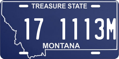 MT license plate 171113M