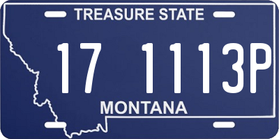 MT license plate 171113P
