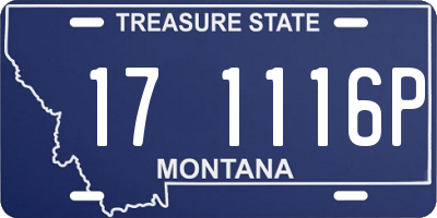 MT license plate 171116P
