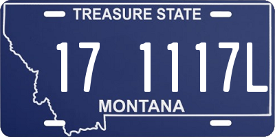 MT license plate 171117L