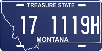 MT license plate 171119H