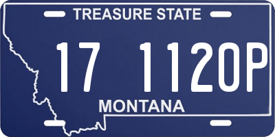 MT license plate 171120P