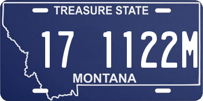 MT license plate 171122M