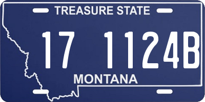 MT license plate 171124B
