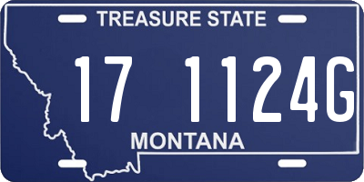 MT license plate 171124G