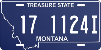 MT license plate 171124I
