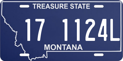MT license plate 171124L