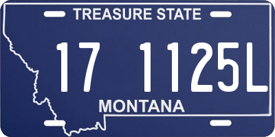 MT license plate 171125L