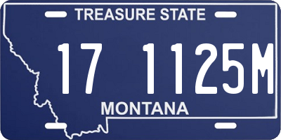 MT license plate 171125M