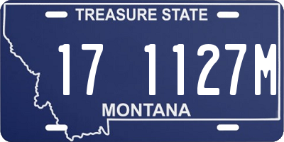MT license plate 171127M