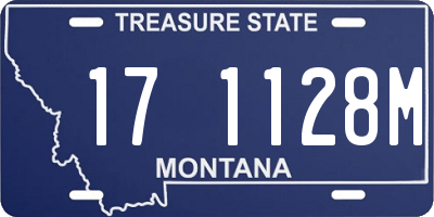 MT license plate 171128M