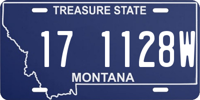 MT license plate 171128W