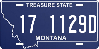 MT license plate 171129D