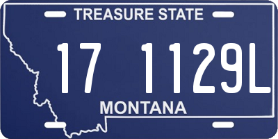 MT license plate 171129L