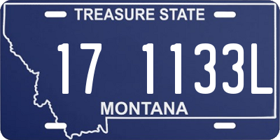 MT license plate 171133L