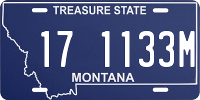 MT license plate 171133M