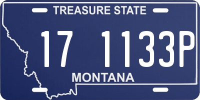 MT license plate 171133P
