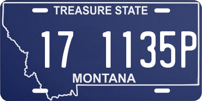 MT license plate 171135P