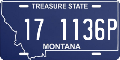 MT license plate 171136P