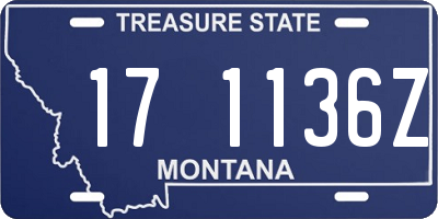 MT license plate 171136Z
