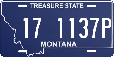 MT license plate 171137P