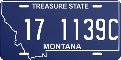 MT license plate 171139C