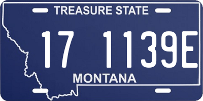 MT license plate 171139E