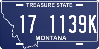 MT license plate 171139K