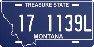 MT license plate 171139L