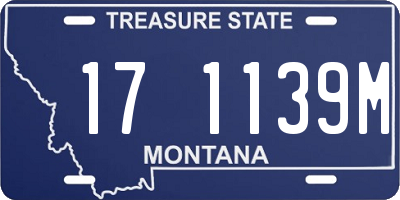 MT license plate 171139M