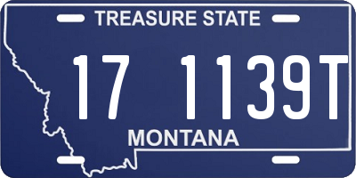 MT license plate 171139T