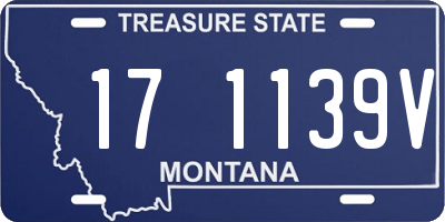 MT license plate 171139V